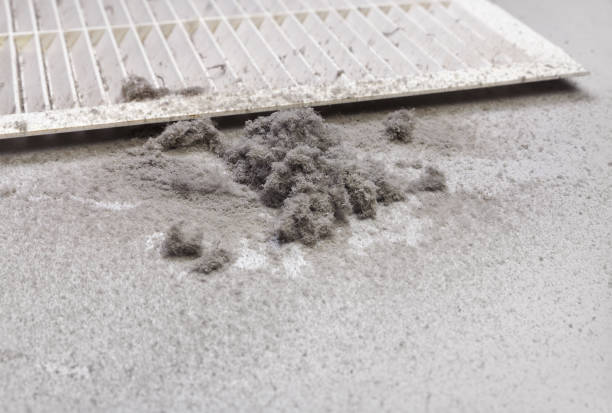 Best Best Air Duct Cleaning Company  in Wamac, IL